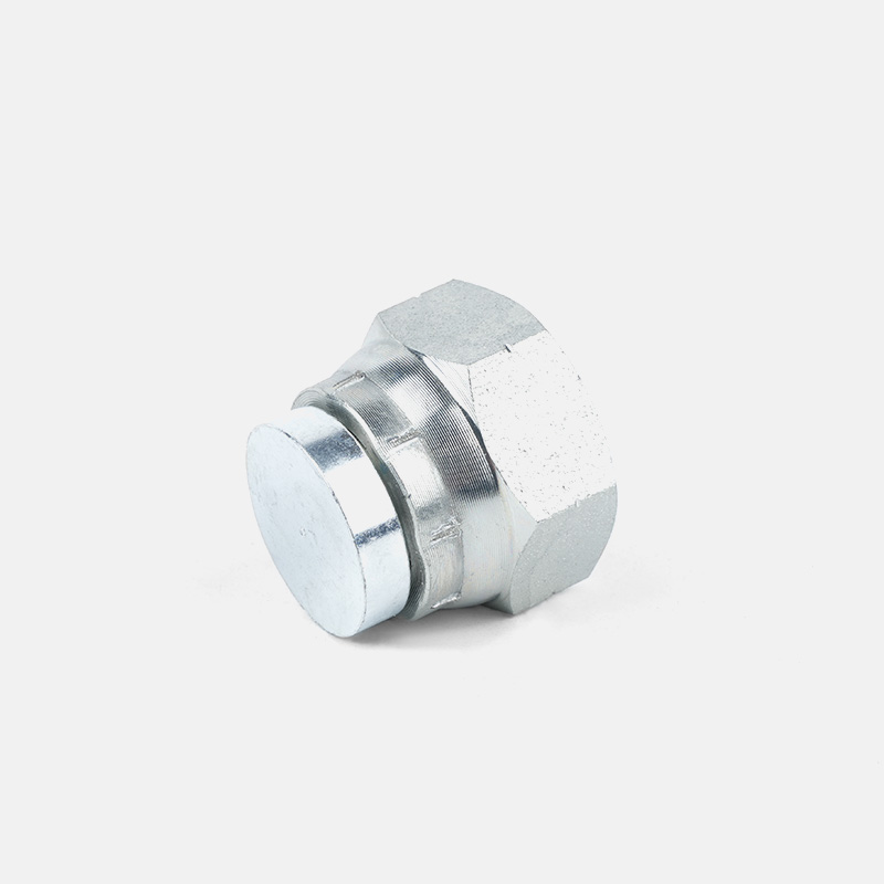 BSP Female 60 Degree Cone Plug 9B