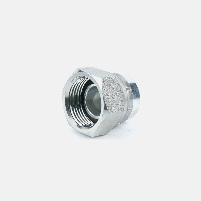 BSP Female 60 Degree Cone Plug 9B