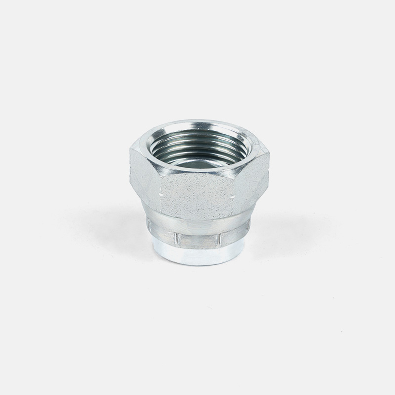 BSP Female 60 Degree Cone Plug 9B