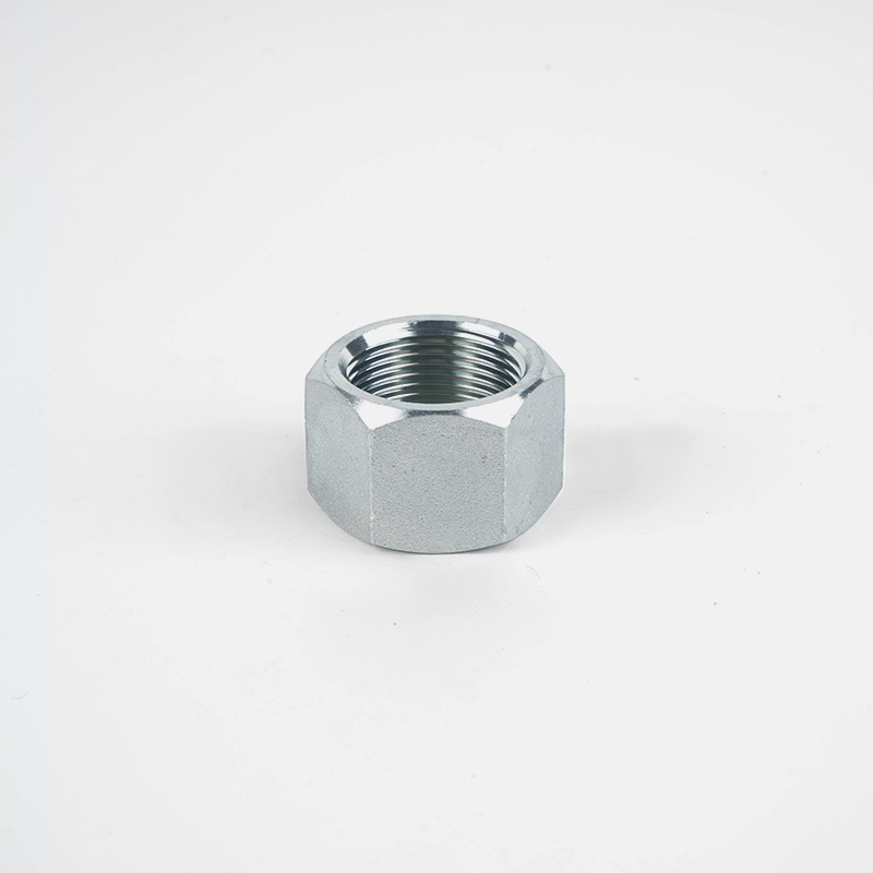 Retaining Nut NL/NS